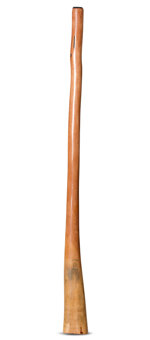 CrookedStixz Didgeridoo (AH335)